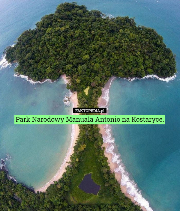 Park Narodowy Manuala Antonio na Kostaryce. 