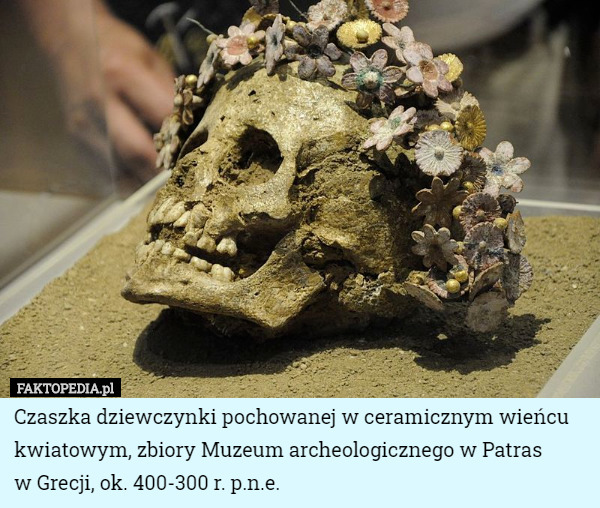 Czaszka dziewczynki pochowanej w ceramicznym wieńcu kwiatowym, zbiory Muzeum archeologicznego w Patras
 w Grecji, ok. 400-300 r. p.n.e. 