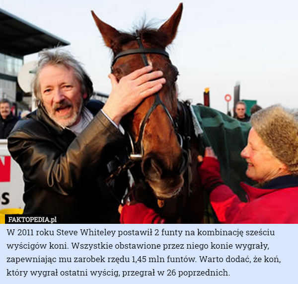 W 2011 roku Steve Whiteley postawił 2 funty na kombinację sześciu wyścigów koni. Wszystkie obstawione przez niego konie wygrały, zapewniając mu zarobek rzędu 1,45 mln funtów. Warto dodać, że koń, który wygrał ostatni wyścig, przegrał w 26 poprzednich. 