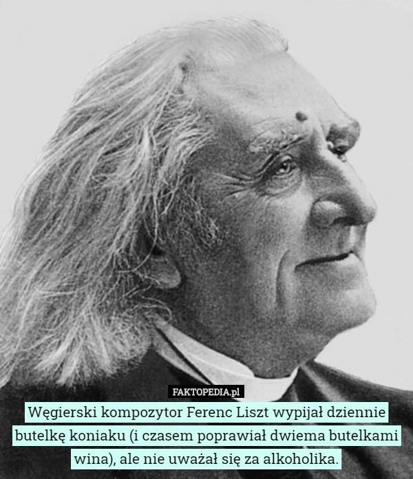 Węgierski kompozytor Ferenc Liszt wypijał dziennie butelkę koniaku (i czasem poprawiał dwiema butelkami wina), ale nie uważał się za alkoholika. 