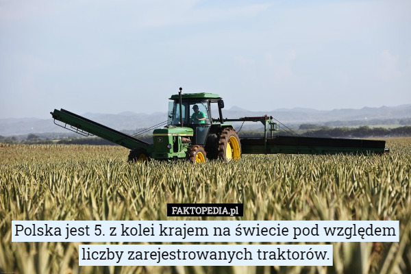 Polska jest 5. z kolei krajem na świecie pod względem liczby zarejestrowanych traktorów. 