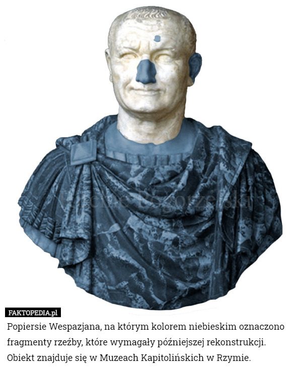 Popiersie Wespazjana, na którym kolorem niebieskim oznaczono fragmenty rzeźby, które wymagały późniejszej rekonstrukcji. Obiekt znajduje się w Muzeach Kapitolińskich w Rzymie. 