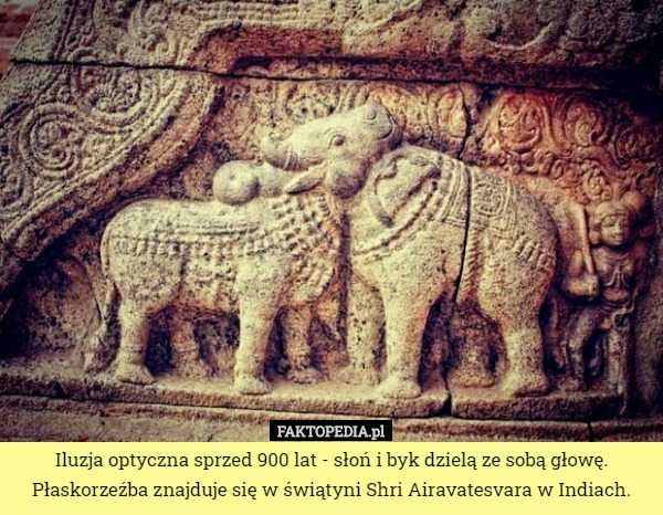 Iluzja optyczna sprzed 900 lat - słoń i byk dzielą ze sobą głowę. Płaskorzeźba znajduje się w świątyni Shri Airavatesvara w Indiach. 