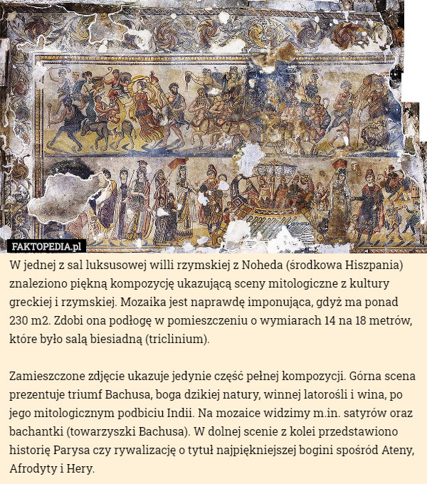 W jednej z sal luksusowej willi rzymskiej z Noheda (środkowa Hiszpania) znaleziono piękną kompozycję ukazującą sceny mitologiczne z kultury greckiej i rzymskiej. Mozaika jest naprawdę imponująca, gdyż ma ponad 230 m2. Zdobi ona podłogę w pomieszczeniu o wymiarach 14 na 18 metrów, które było salą biesiadną (triclinium).

Zamieszczone zdjęcie ukazuje jedynie część pełnej kompozycji. Górna scena prezentuje triumf Bachusa, boga dzikiej natury, winnej latorośli i wina, po jego mitologicznym podbiciu Indii. Na mozaice widzimy m.in. satyrów oraz bachantki (towarzyszki Bachusa). W dolnej scenie z kolei przedstawiono historię Parysa czy rywalizację o tytuł najpiękniejszej bogini spośród Ateny, Afrodyty i Hery. 