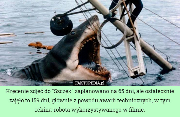 Kręcenie zdjęć do "Szczęk" zaplanowano na 65 dni, ale ostatecznie zajęło to 159 dni, głównie z powodu awarii technicznych, w tym rekina-robota wykorzystywanego w filmie. 