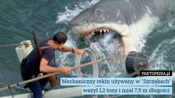 Mechaniczny rekin używany w "Szczękach" ważył 1,2 tony i miał 7,5 m długości. 