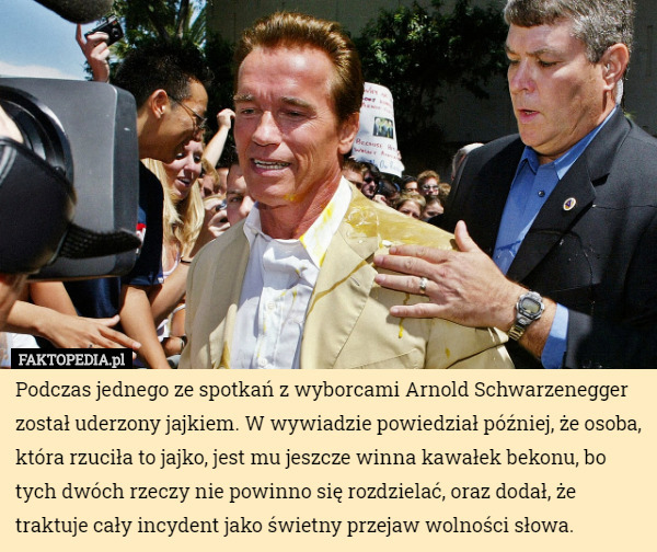 Podczas jednego ze spotkań z wyborcami Arnold Schwarzenegger został uderzony jajkiem. W wywiadzie powiedział później, że osoba, która rzuciła to jajko, jest mu jeszcze winna kawałek bekonu, bo tych dwóch rzeczy nie powinno się rozdzielać, oraz dodał, że traktuje cały incydent jako świetny przejaw wolności słowa. 