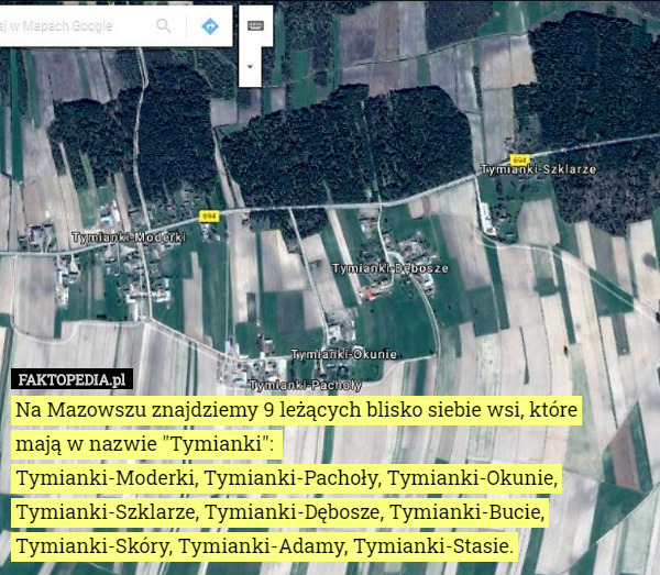 Na Mazowszu znajdziemy 9 leżących blisko siebie wsi, które mają w nazwie "Tymianki": 
Tymianki-Moderki, Tymianki-Pachoły, Tymianki-Okunie, Tymianki-Szklarze, Tymianki-Dębosze, Tymianki-Bucie, Tymianki-Skóry, Tymianki-Adamy, Tymianki-Stasie. 