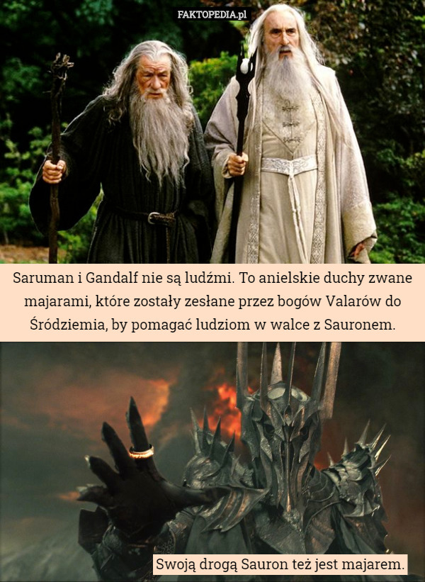 Saruman i Gandalf nie są ludźmi. To anielskie duchy zwane majarami, które zostały zesłane przez bogów Valarów do Śródziemia, by pomagać ludziom w walce z Sauronem. Swoją drogą Sauron też jest majarem. 