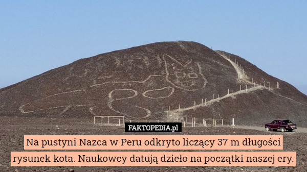 Na pustyni Nazca w Peru odkryto liczący 37 m długości rysunek kota. Naukowcy datują dzieło na początki naszej ery. 
