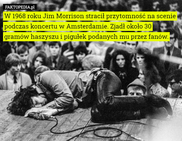 W 1968 roku Jim Morrison stracił przytomność na scenie podczas koncertu w Amsterdamie. Zjadł około 30 gramów haszyszu i pigułek podanych mu przez fanów. 
