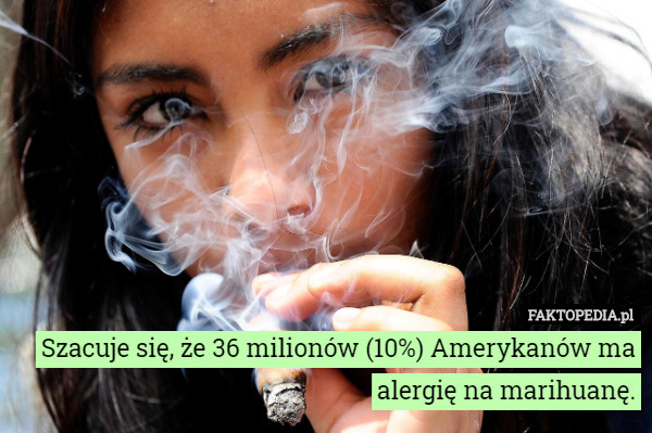 Szacuje się, że 36 milionów (10%) Amerykanów ma alergię na marihuanę. 
