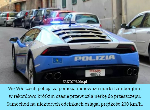 We Włoszech policja za pomocą radiowozu marki Lamborghini
 w rekordowo krótkim czasie przewiozła nerkę do przeszczepu. Samochód na niektórych odcinkach osiągał prędkość 230 km/h. 