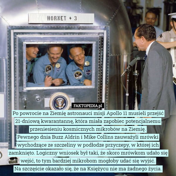 Po powrocie na Ziemię astronauci misji Apollo 11 musieli przejść 21-dniową kwarantannę, która miała zapobiec potencjalnemu przeniesieniu kosmicznych mikrobów na Ziemię.
Pewnego dnia Buzz Aldrin i Mike Collins zauważyli mrówki wychodzące ze szczeliny w podłodze przyczepy, w której ich zamknięto. Logiczny wniosek był taki, że skoro mrówkom udało się wejść, to tym bardziej mikrobom mogłoby udać się wyjść.
Na szczęście okazało się, że na Księżycu nie ma żadnego życia. 