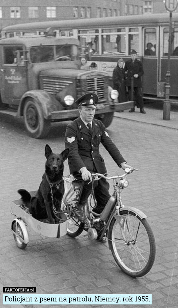 Policjant z psem na patrolu, Niemcy, rok 1955. 