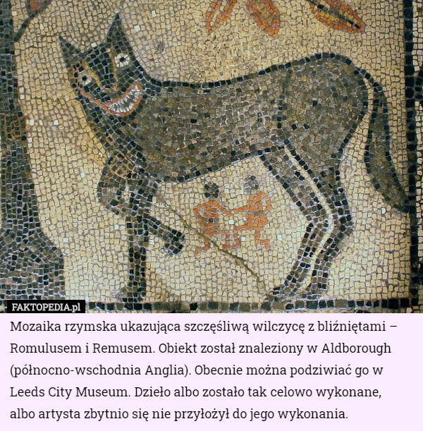 Mozaika rzymska ukazująca szczęśliwą wilczycę z bliźniętami – Romulusem i Remusem. Obiekt został znaleziony w Aldborough (północno-wschodnia Anglia). Obecnie można podziwiać go w Leeds City Museum. Dzieło albo zostało tak celowo wykonane,
 albo artysta zbytnio się nie przyłożył do jego wykonania. 