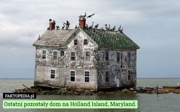 Ostatni pozostały dom na Holland Island, Maryland. 