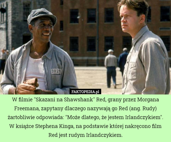 W filmie "Skazani na Shawshank" Red, grany przez Morgana Freemana, zapytany dlaczego nazywają go Red (ang. Rudy) żartobliwie odpowiada: "Może dlatego, że jestem Irlandczykiem".
W książce Stephena Kinga, na podstawie której nakręcono film Red jest rudym Irlandczykiem. 