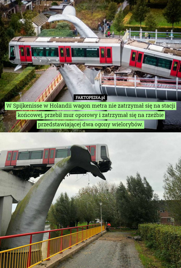 W Spijkenisse w Holandii wagon metra nie zatrzymał się na stacji końcowej, przebił mur oporowy i zatrzymał się na rzeźbie przedstawiającej dwa ogony wielorybów. 