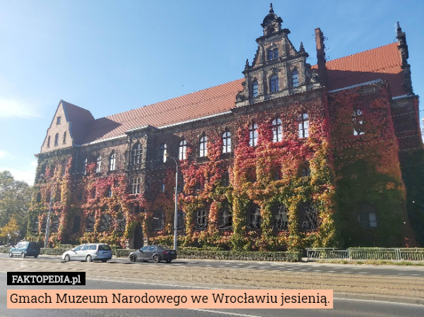 Gmach Muzeum Narodowego we Wrocławiu jesienią. 