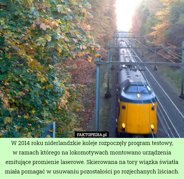 W 2014 roku niderlandzkie koleje rozpoczęły program testowy,
 w ramach którego na lokomotywach montowano urządzenia emitujące promienie laserowe. Skierowana na tory wiązka światła miała pomagać w usuwaniu pozostałości po rozjechanych liściach. 
