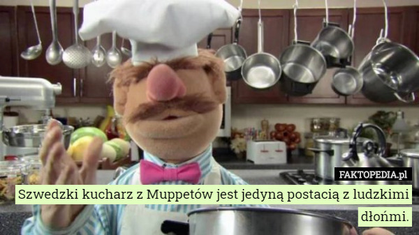 Szwedzki kucharz z Muppetów jest jedyną postacią z ludzkimi dłońmi. 