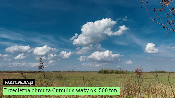 Przeciętna chmura Cumulus waży ok. 500 ton. 