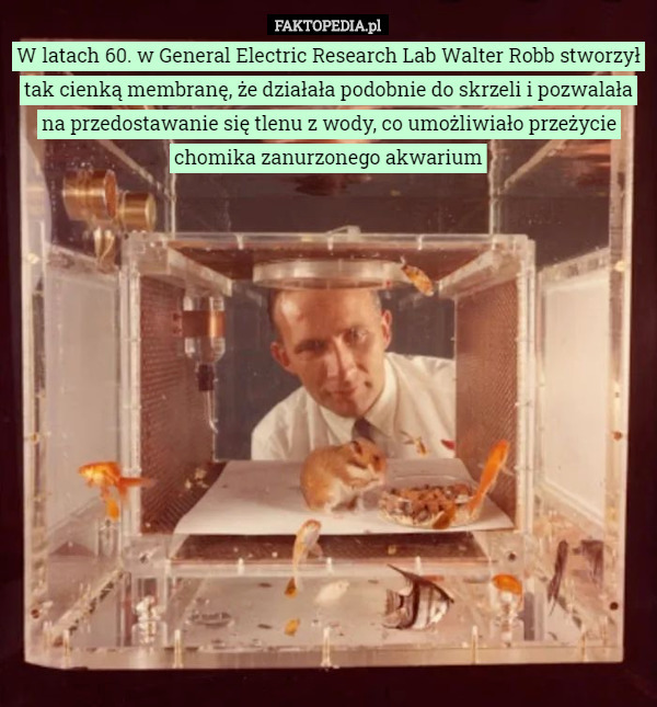 W latach 60. w General Electric Research Lab Walter Robb stworzył tak cienką membranę, że działała podobnie do skrzeli i pozwalała na przedostawanie się tlenu z wody, co umożliwiało przeżycie chomika zanurzonego akwarium 