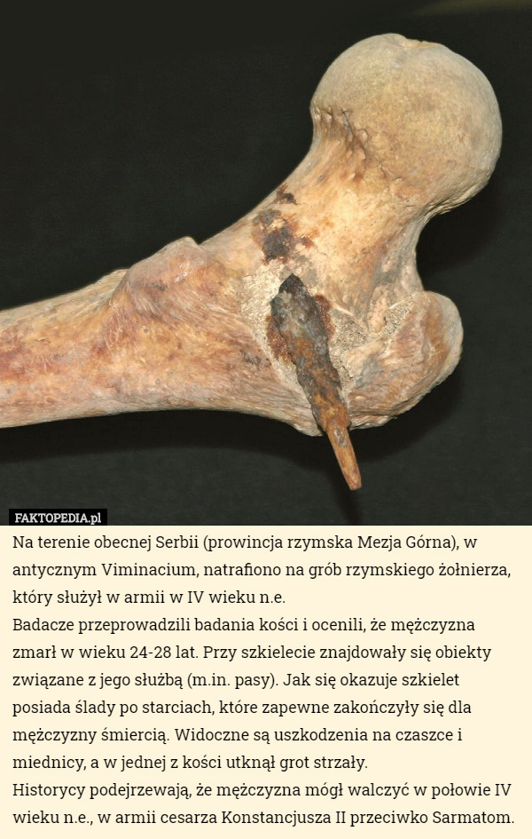 Na terenie obecnej Serbii (prowincja rzymska Mezja Górna), w antycznym Viminacium, natrafiono na grób rzymskiego żołnierza, który służył w armii w IV wieku n.e.
Badacze przeprowadzili badania kości i ocenili, że mężczyzna zmarł w wieku 24-28 lat. Przy szkielecie znajdowały się obiekty związane z jego służbą (m.in. pasy). Jak się okazuje szkielet posiada ślady po starciach, które zapewne zakończyły się dla mężczyzny śmiercią. Widoczne są uszkodzenia na czaszce i miednicy, a w jednej z kości utknął grot strzały.
Historycy podejrzewają, że mężczyzna mógł walczyć w połowie IV wieku n.e., w armii cesarza Konstancjusza II przeciwko Sarmatom. 