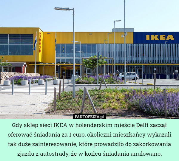 Gdy sklep sieci IKEA w holenderskim mieście Delft zaczął oferować śniadania za 1 euro, okoliczni mieszkańcy wykazali tak duże zainteresowanie, które prowadziło do zakorkowania zjazdu z autostrady, że w końcu śniadania anulowano. 