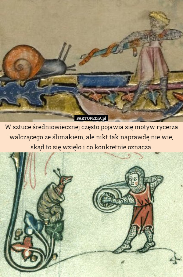 W sztuce średniowiecznej często pojawia się motyw rycerza walczącego ze ślimakiem, ale nikt tak naprawdę nie wie, skąd to się wzięło i co konkretnie oznacza. 