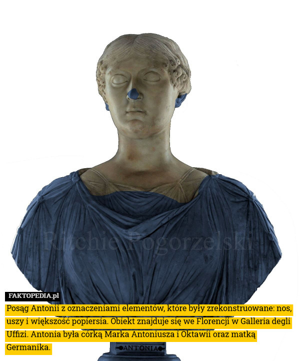 Posąg Antonii z oznaczeniami elementów, które były zrekonstruowane: nos, uszy i większość popiersia. Obiekt znajduje się we Florencji w Galleria degli Uffizi. Antonia była córką Marka Antoniusza i Oktawii oraz matką Germanika. 