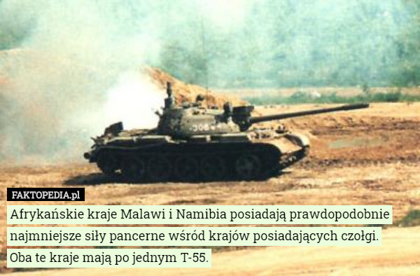 Afrykańskie kraje Malawi i Namibia posiadają prawdopodobnie najmniejsze siły pancerne wśród krajów posiadających czołgi.
 Oba te kraje mają po jednym T-55. 