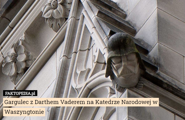 Gargulec z Darthem Vaderem na Katedrze Narodowej w Waszyngtonie 