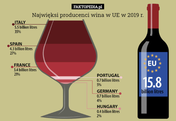 Najwięksi producenci wina w UE w 2019 r. 