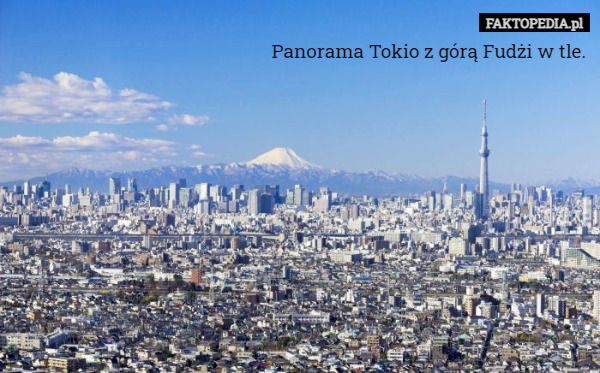 Panorama Tokio z górą Fudżi w tle. 