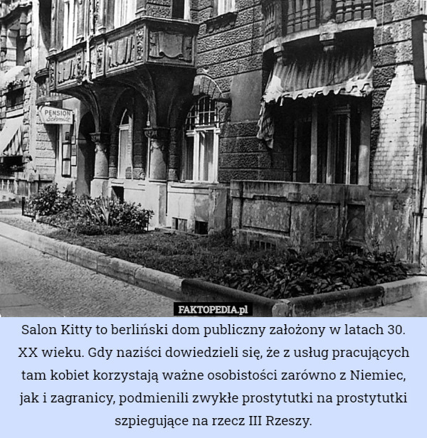Salon Kitty to berliński dom publiczny założony w latach 30. XX wieku. Gdy naziści dowiedzieli się, że z usług pracujących tam kobiet korzystają ważne osobistości zarówno z Niemiec, jak i zagranicy, podmienili zwykłe prostytutki na prostytutki szpiegujące na rzecz III Rzeszy. 