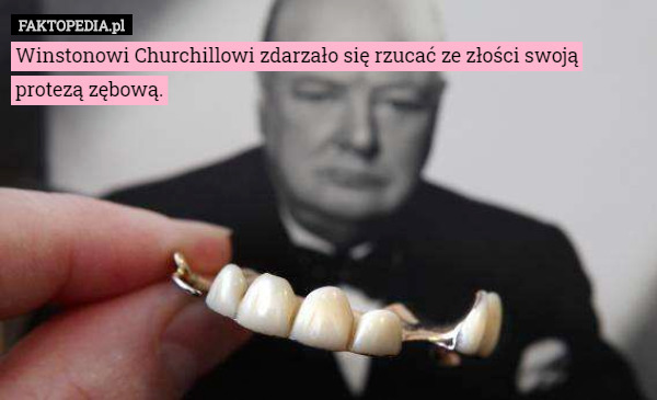 Winstonowi Churchillowi zdarzało się rzucać ze złości swoją protezą zębową. 