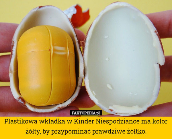 Plastikowa wkładka w Kinder Niespodziance ma kolor żółty, by przypominać prawdziwe żółtko. 