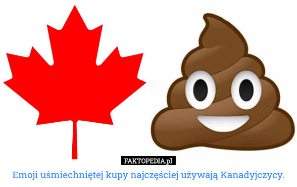 Emoji uśmiechniętej kupy najczęściej używają Kanadyjczycy. 