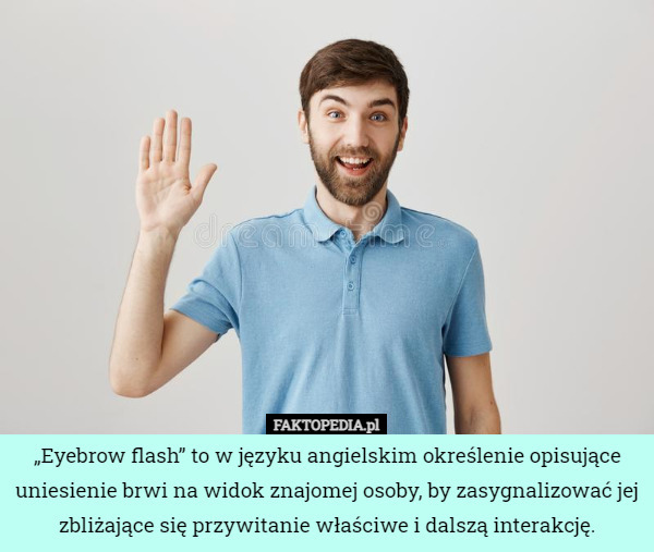 „Eyebrow flash” to w języku angielskim określenie opisujące uniesienie brwi na widok znajomej osoby, by zasygnalizować jej zbliżające się przywitanie właściwe i dalszą interakcję. 