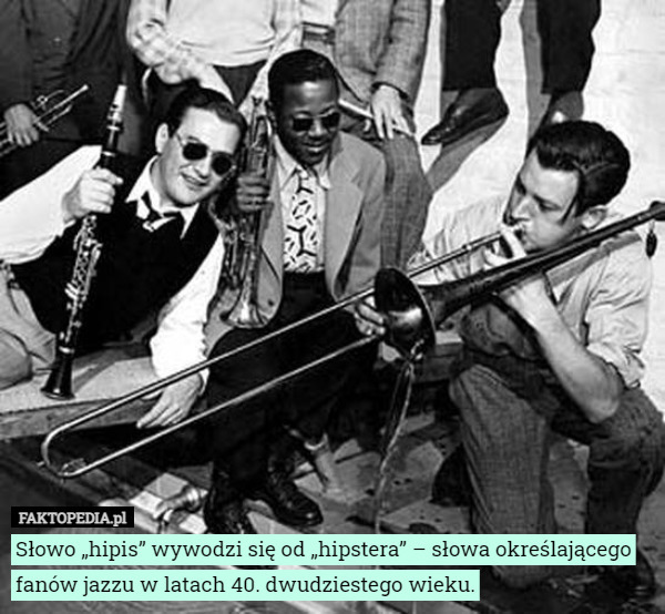Słowo „hipis” wywodzi się od „hipstera” – słowa określającego fanów jazzu w latach 40. dwudziestego wieku. 