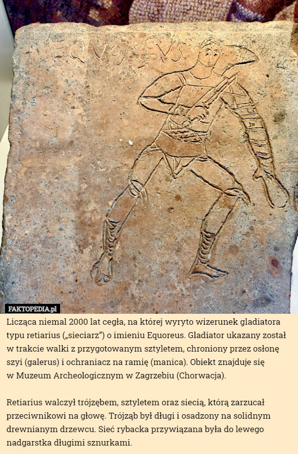 Licząca niemal 2000 lat cegła, na której wyryto wizerunek gladiatora typu retiarius („sieciarz”) o imieniu Equoreus. Gladiator ukazany został w trakcie walki z przygotowanym sztyletem, chroniony przez osłonę szyi (galerus) i ochraniacz na ramię (manica). Obiekt znajduje się
 w Muzeum Archeologicznym w Zagrzebiu (Chorwacja).

Retiarius walczył trójzębem, sztyletem oraz siecią, którą zarzucał przeciwnikowi na głowę. Trójząb był długi i osadzony na solidnym drewnianym drzewcu. Sieć rybacka przywiązana była do lewego nadgarstka długimi sznurkami. 