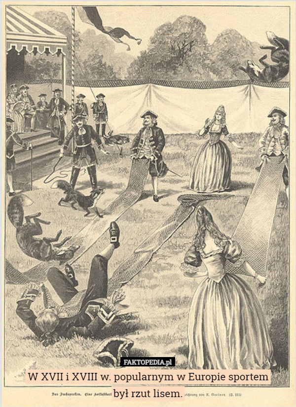 W XVII i XVIII w. popularnym w Europie sportem
był rzut lisem. 