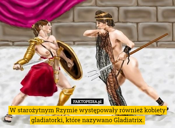 W starożytnym Rzymie występowały również kobiety gladiatorki, które nazywano Gladiatrix. 