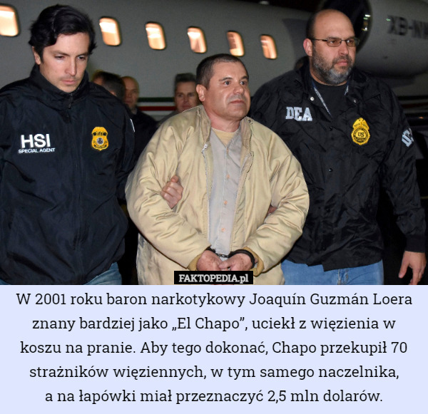 W 2001 roku baron narkotykowy Joaquín Guzmán Loera znany bardziej jako „El Chapo”, uciekł z więzienia w koszu na pranie. Aby tego dokonać, Chapo przekupił 70 strażników więziennych, w tym samego naczelnika,
 a na łapówki miał przeznaczyć 2,5 mln dolarów. 