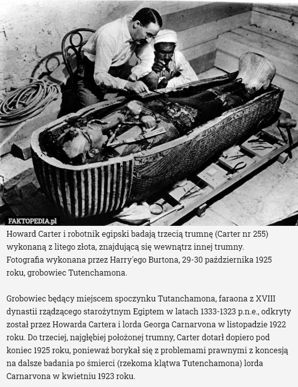 Howard Carter i robotnik egipski badają trzecią trumnę (Carter nr 255) wykonaną z litego złota, znajdującą się wewnątrz innej trumny.
 Fotografia wykonana przez Harry'ego Burtona, 29-30 października 1925 roku, grobowiec Tutenchamona.

Grobowiec będący miejscem spoczynku Tutanchamona, faraona z XVIII dynastii rządzącego starożytnym Egiptem w latach 1333-1323 p.n.e., odkryty został przez Howarda Cartera i lorda Georga Carnarvona w listopadzie 1922 roku. Do trzeciej, najgłębiej położonej trumny, Carter dotarł dopiero pod koniec 1925 roku, ponieważ borykał się z problemami prawnymi z koncesją na dalsze badania po śmierci (rzekoma klątwa Tutenchamona) lorda Carnarvona w kwietniu 1923 roku. 