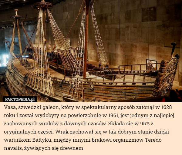 Vasa, szwedzki galeon, który w spektakularny sposób zatonął w 1628 roku i został wydobyty na powierzchnię w 1961, jest jednym z najlepiej zachowanych wraków z dawnych czasów. Składa się w 95% z oryginalnych części. Wrak zachował się w tak dobrym stanie dzięki warunkom Bałtyku, między innymi brakowi organizmów Teredo navalis, żywiących się drewnem. 