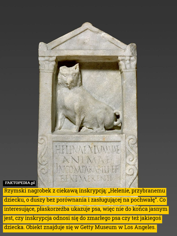 Rzymski nagrobek z ciekawą inskrypcją: „Helenie, przybranemu dziecku, o duszy bez porównania i zasługującej na pochwałę”. Co interesujące, płaskorzeźba ukazuje psa, więc nie do końca jasnym jest, czy inskrypcja odnosi się do zmarłego psa czy też jakiegoś dziecka. Obiekt znajduje się w Getty Museum w Los Angeles. 