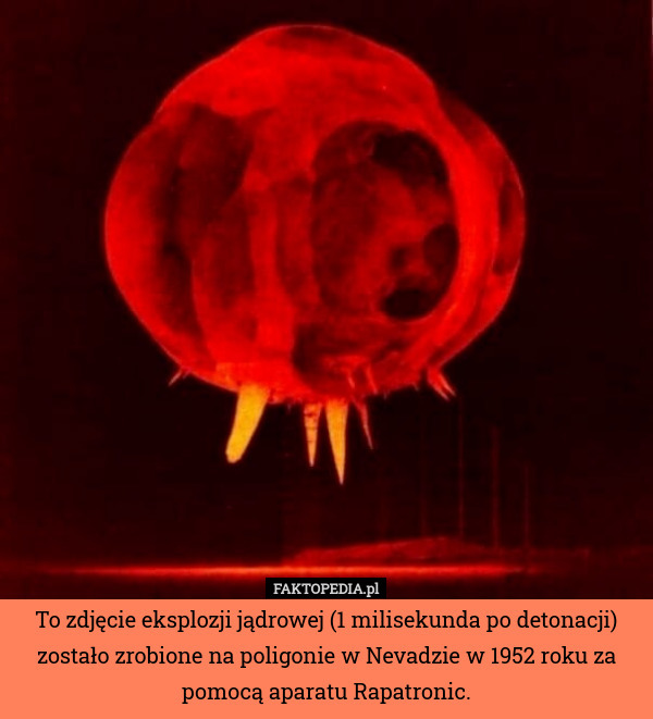 To zdjęcie eksplozji jądrowej (1 milisekunda po detonacji) zostało zrobione na poligonie w Nevadzie w 1952 roku za pomocą aparatu Rapatronic. 